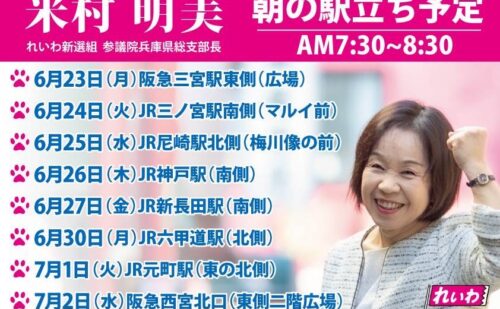 活動スケジュール